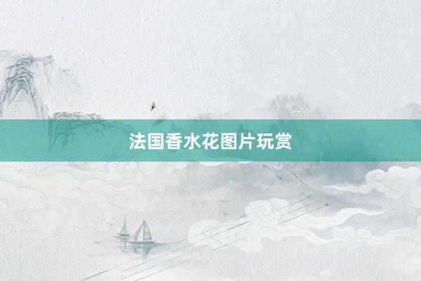 法国香水花图片玩赏