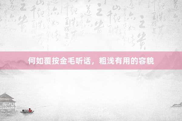 何如覆按金毛听话，粗浅有用的容貌